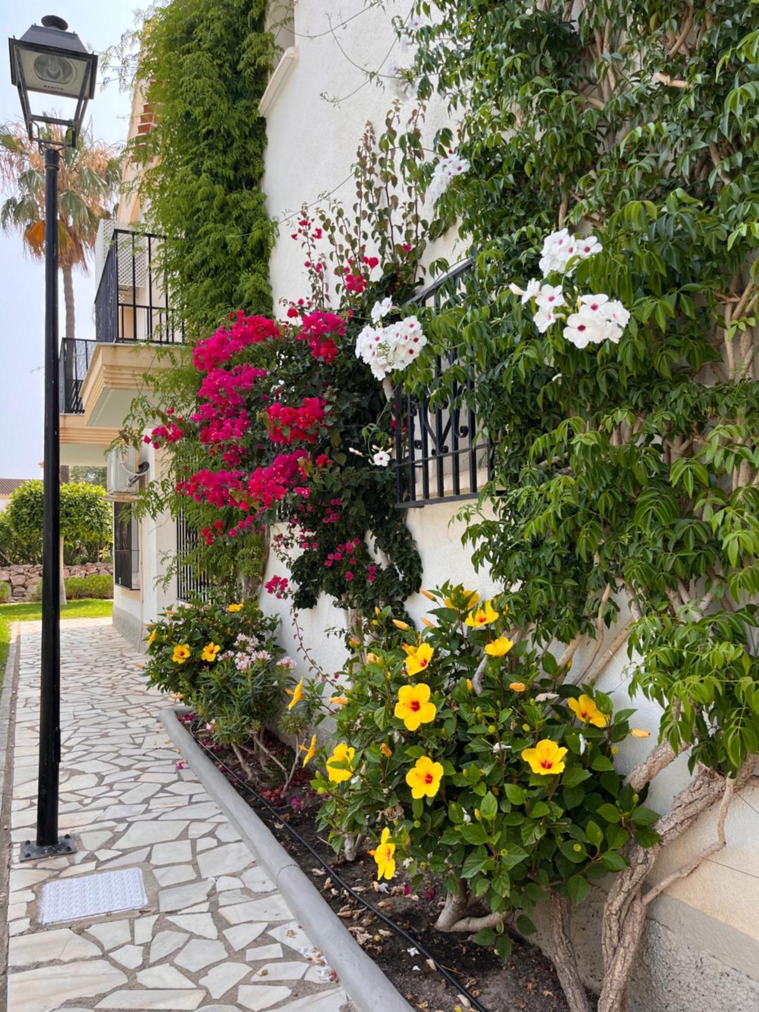 Apartment Duplex Olimp Vera Costa